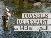 Les conseils de l'expert, par Michel Rigaud
