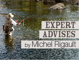 Les conseils de l'expert, par Michel Rigaud